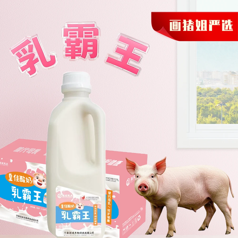 【专属】乳霸王乳猪液态奶