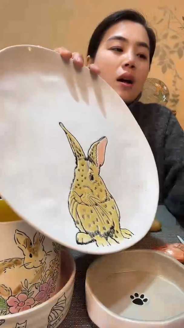 【闪购商品】瓷片瑕疵比较多针眼染色10.5英寸盘介意勿拍