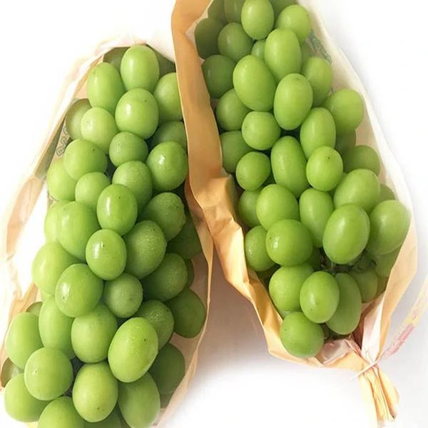 阳光玫瑰提子2斤装纯甜口（随单买，单点不送）云南省