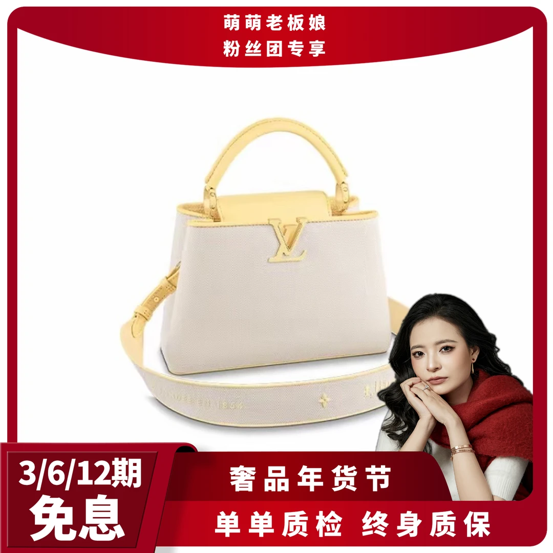 全新未使用 LouisVuitton/路易威登 拼色captain bb手袋