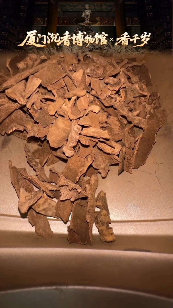 香料香港虎斑鸡母虫漏 5g（赠5g）多样性发货到手10g