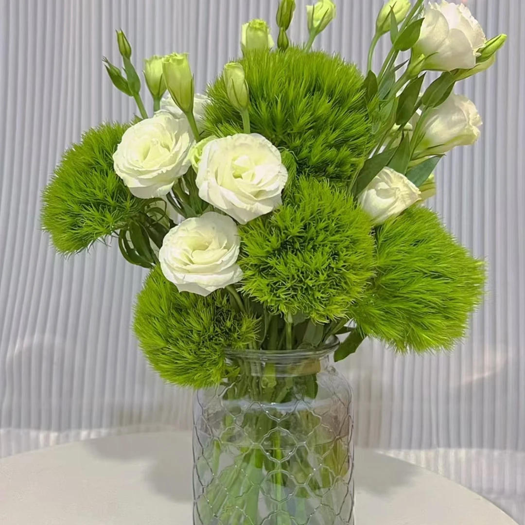 云南璟悦鲜花【草花合集】