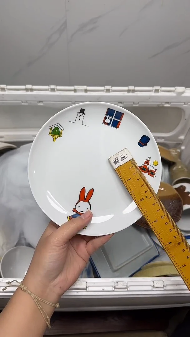 【闪购商品】705回流瓷器默认微瑕，18.8包邮
