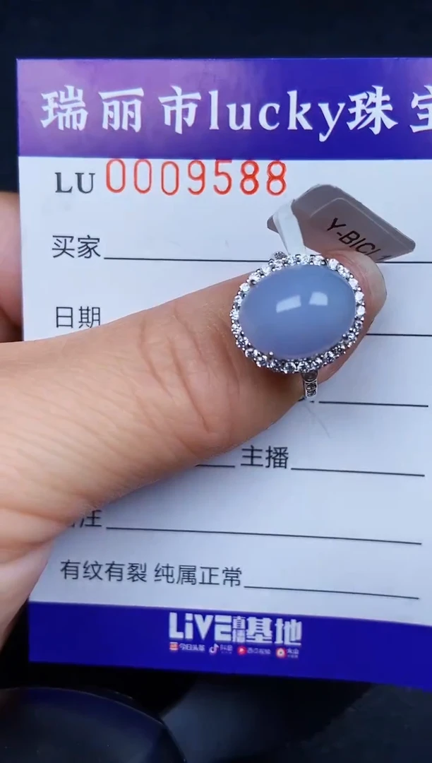 翡翠银S925镶嵌颈饰9588