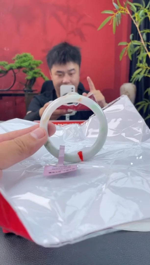 未镶嵌手镯翡翠12