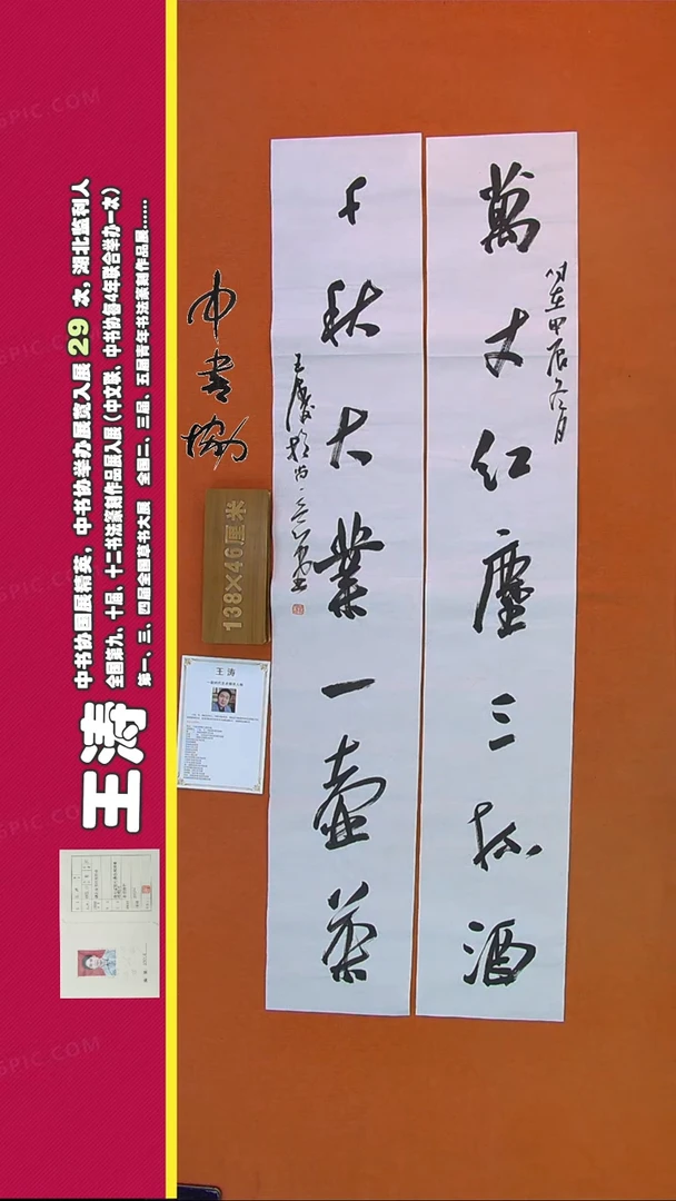 【闪购商品】书法311A王涛书法作品