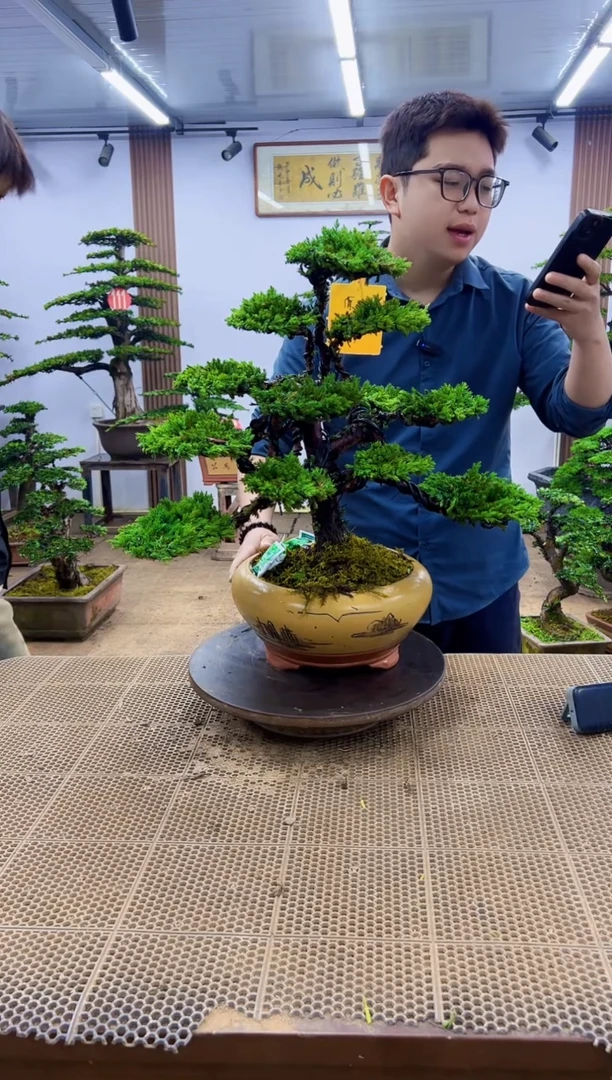 一物一拍，所见即所得