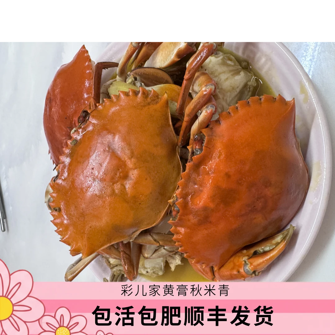 彩儿家*秋米青包活包肥顺丰发货【单只装】