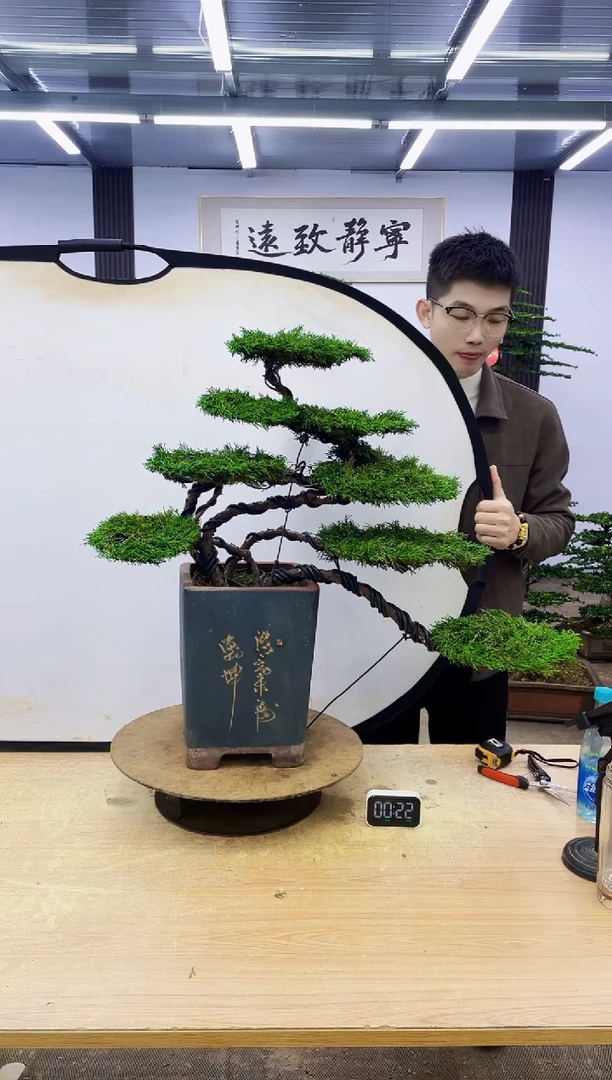 无花朵00000000000000000000000000