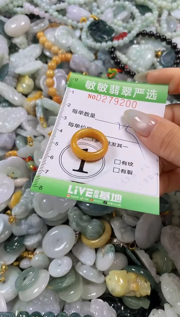 翡翠未镶嵌颈饰闪购0279200