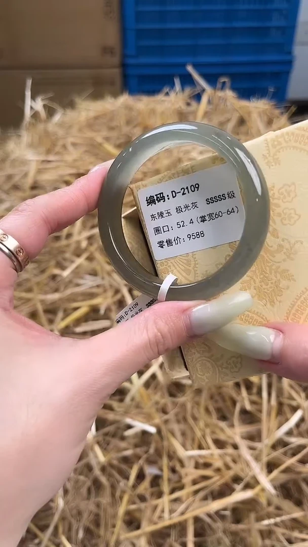 未镶嵌手镯石英质玉D-2109