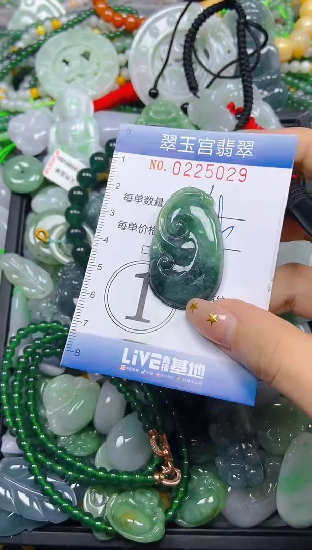 颈饰未镶嵌翡翠闪购C0225029