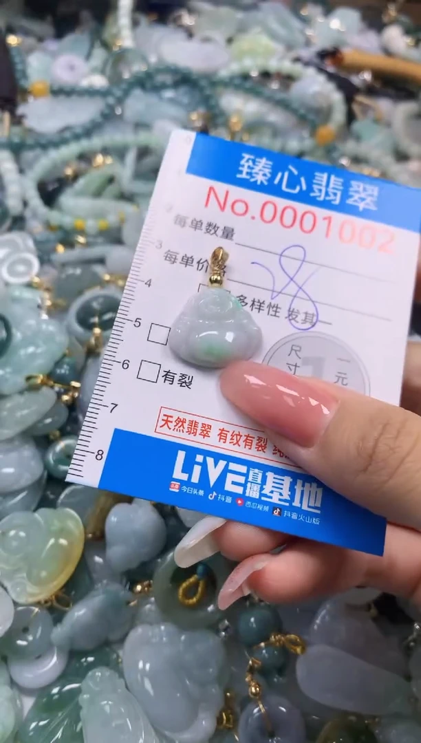 翡翠未镶嵌颈饰1002