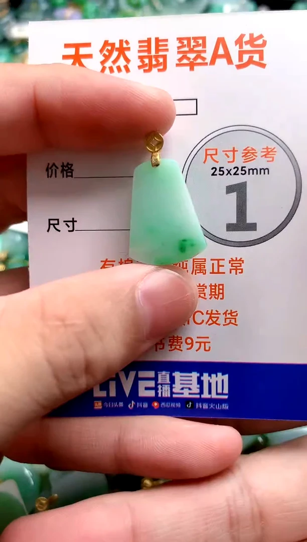 颈饰未镶嵌翡翠13006274