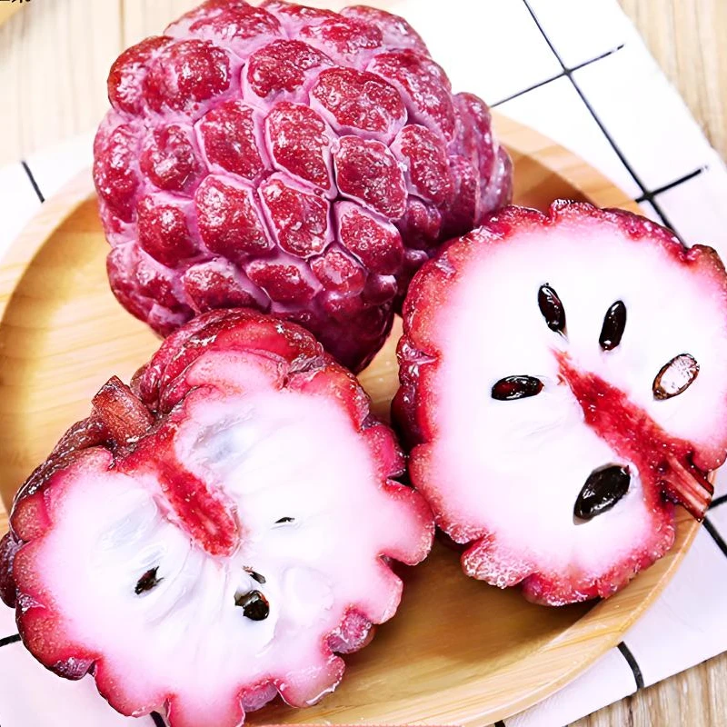 果苗哥【大蜜红皮释迦】大果甜度高容器苗盆栽地载家庭种植楼顶