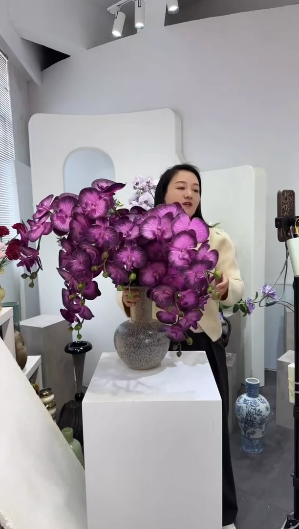 【闪购商品】藤6枝黑紫色蝴蝶兰（不含花瓶）