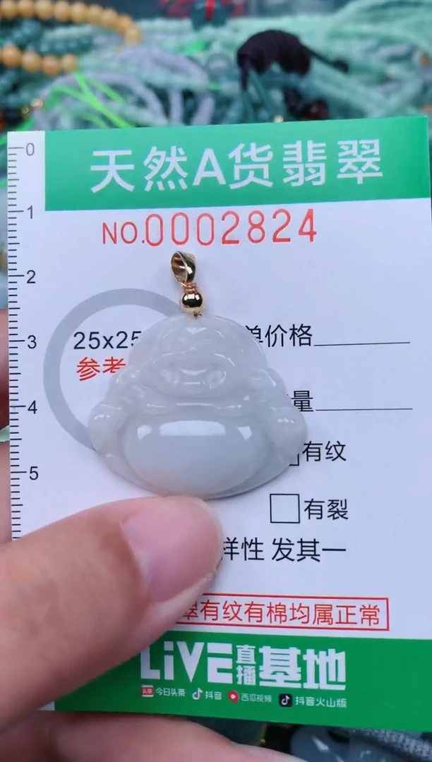 翡翠未镶嵌颈饰.0002824