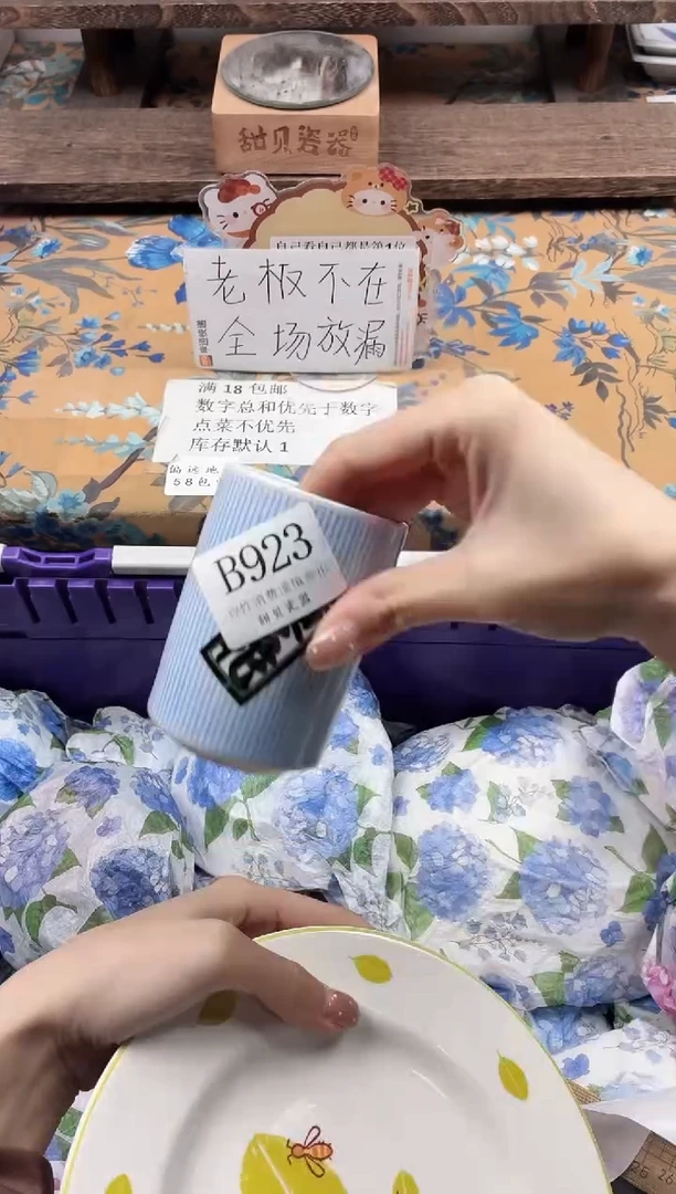 瓷片V****g                B923