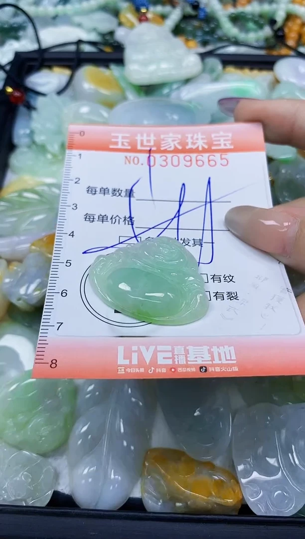 翡翠未镶嵌颈饰闪购0309665多样性发其一