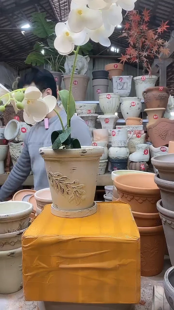 【闪购商品】缸1个15*15作旧陶橄榄无托无托