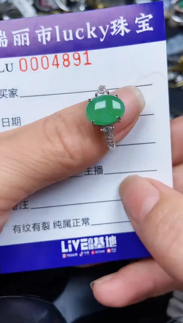 翡翠银S925镶嵌颈饰4891