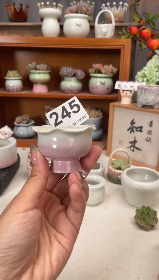 瓷片245知木小芳花盆编号