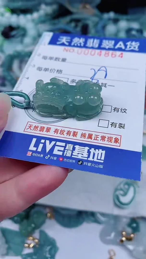 翡翠未镶嵌颈饰0004864