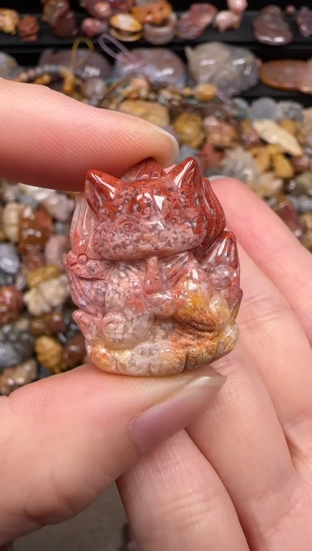 硅化珊瑚（珊瑚玉）未镶嵌颈饰106