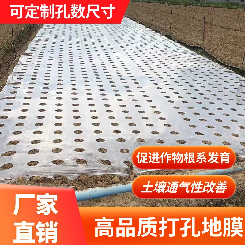 打孔白色地膜农用地膜保温保湿蔬菜玉米洋葱透明带孔塑料开孔