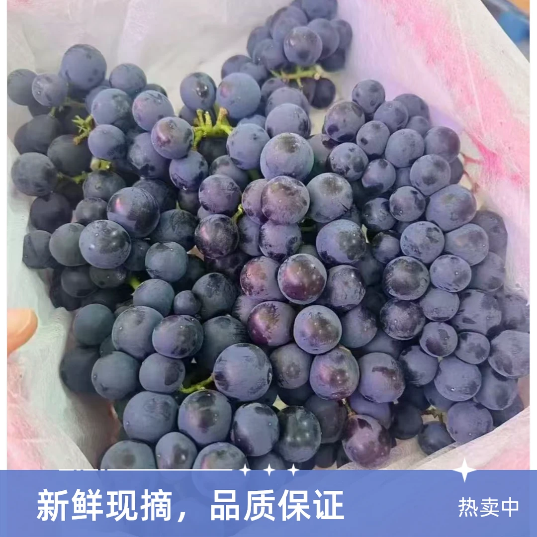 【靖姐推荐】新疆伊利蓝莓葡萄3.5-4斤辽宁省