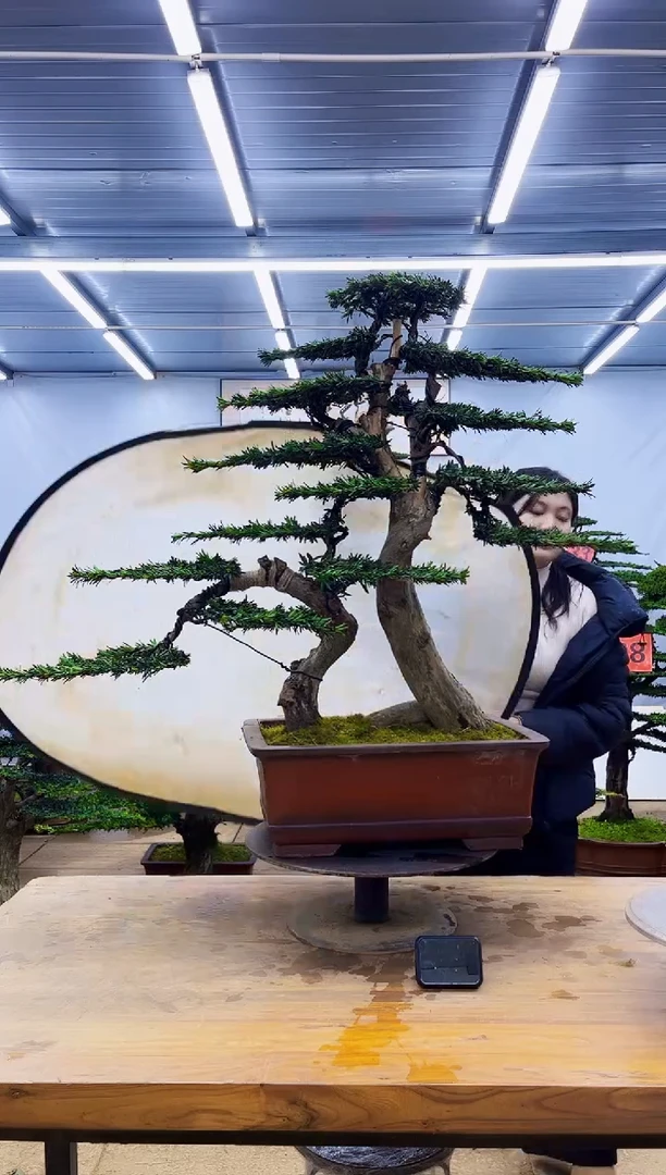 无花朵一物一拍·所见即所得