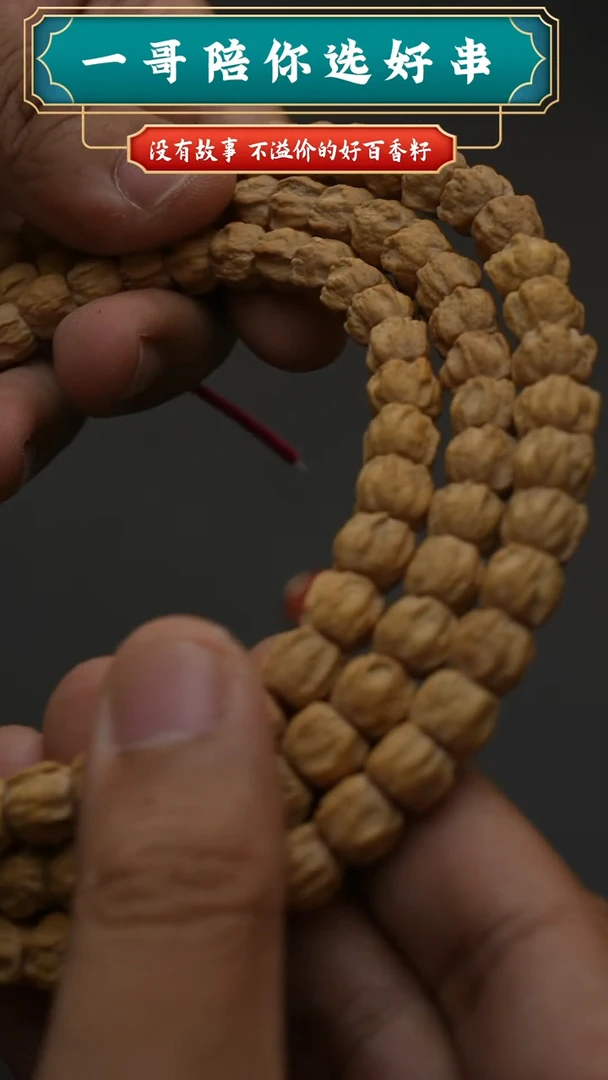 柏香籽/百香籽吊坠巨龙皇