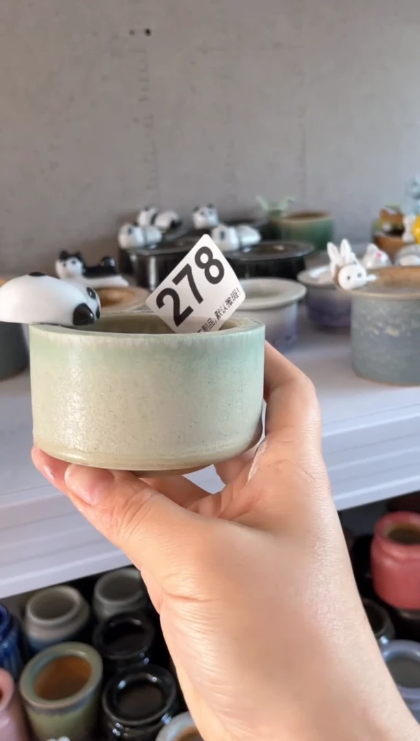 瓷片278知木小芳花盆直播编号