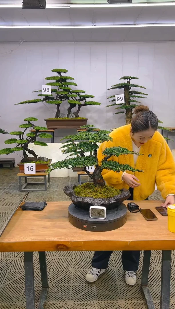 无花朵一物一拍一物一拍