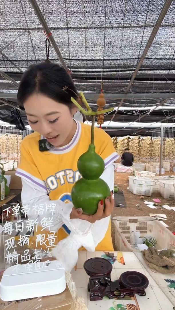 358天然葫芦摆件 一物一拍龙头不保售后