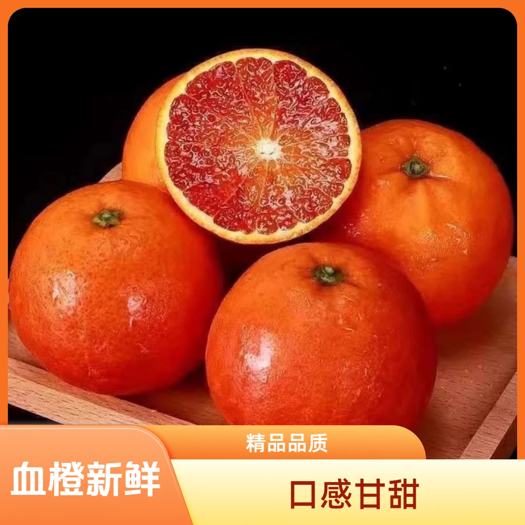 精品 生态橙 一斤装