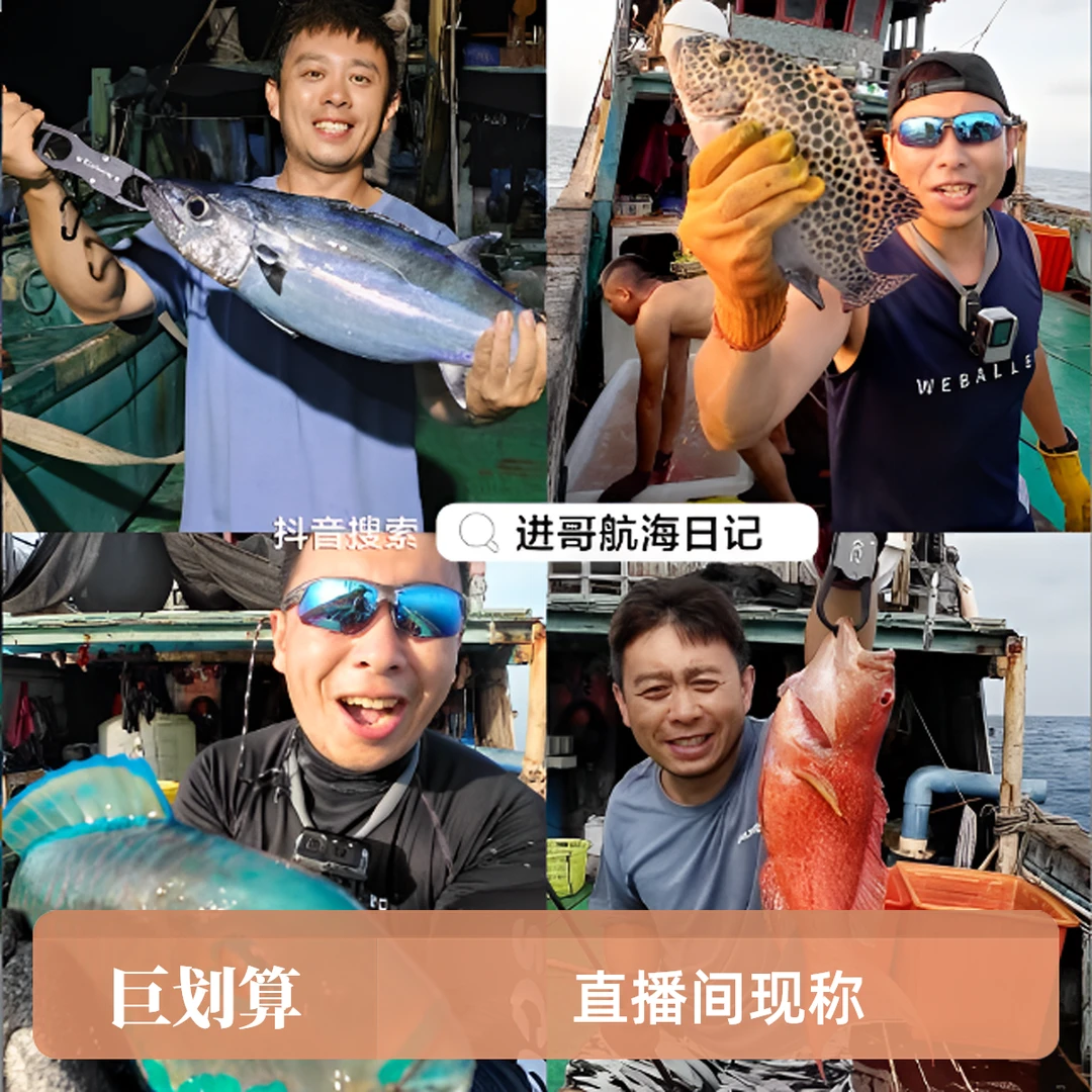 南海野生鱼直播间现称 顺丰京东冷链全国包邮