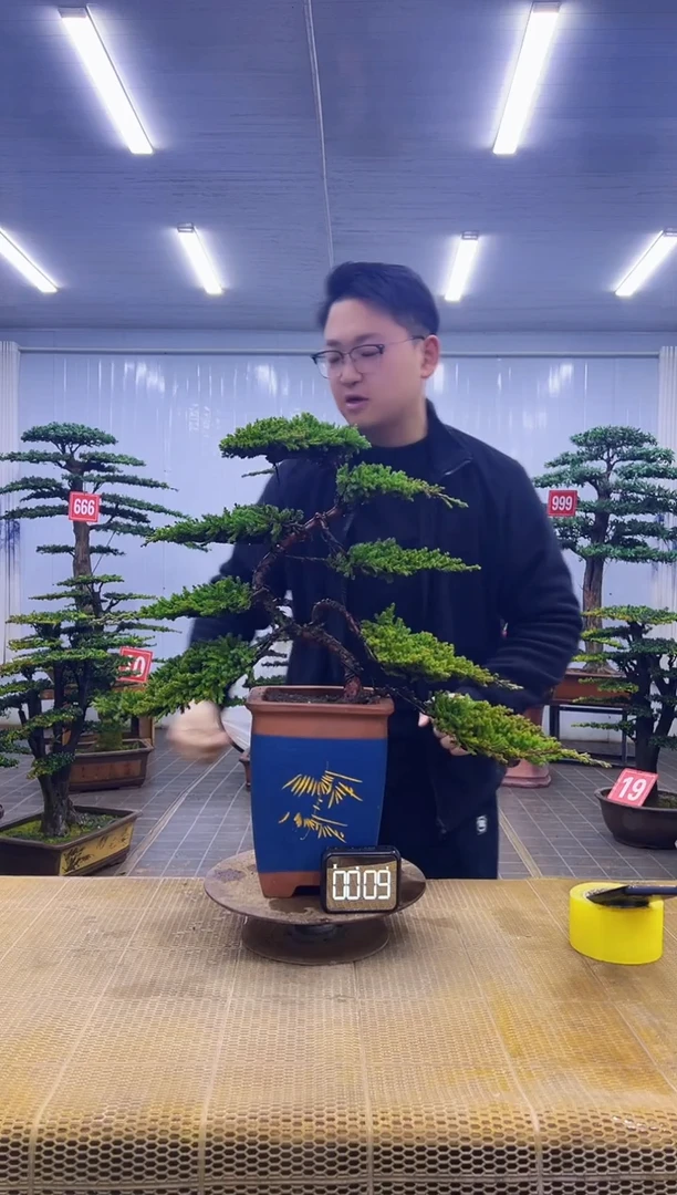 无花朵00000000000000000