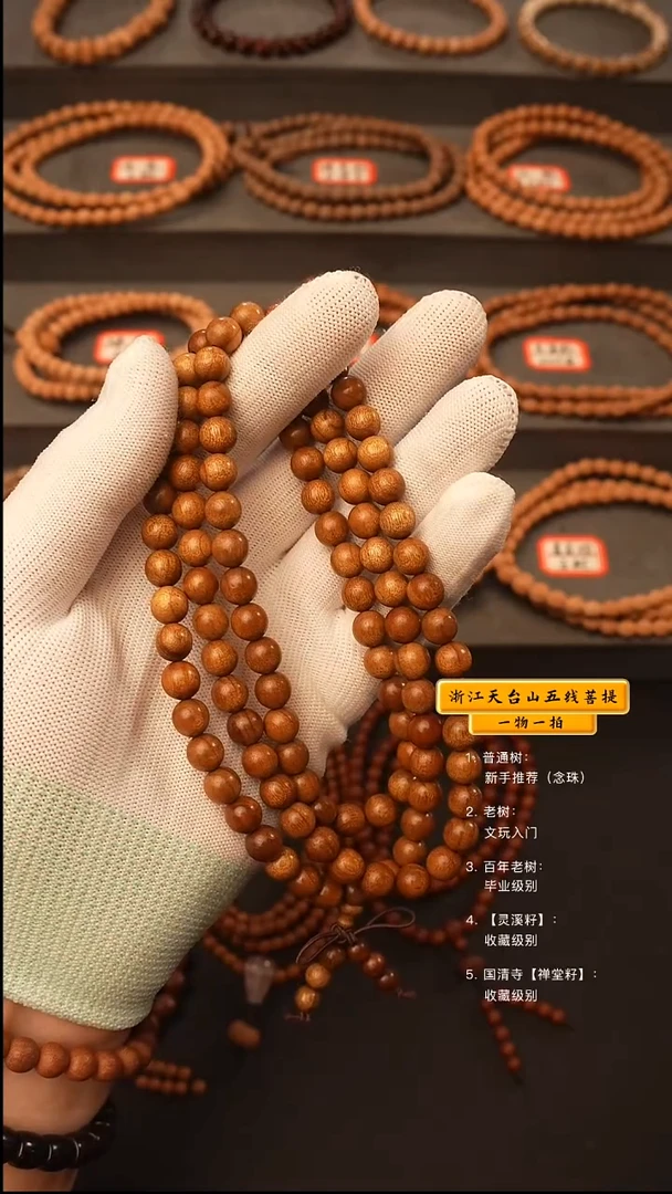 吊坠五线菩提脖挂