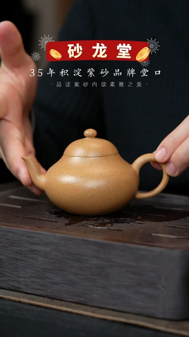 【闪购商品】紫砂茶壶砂龙堂28-孟臣梨-170cc