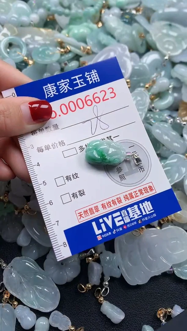 颈饰未镶嵌翡翠6623