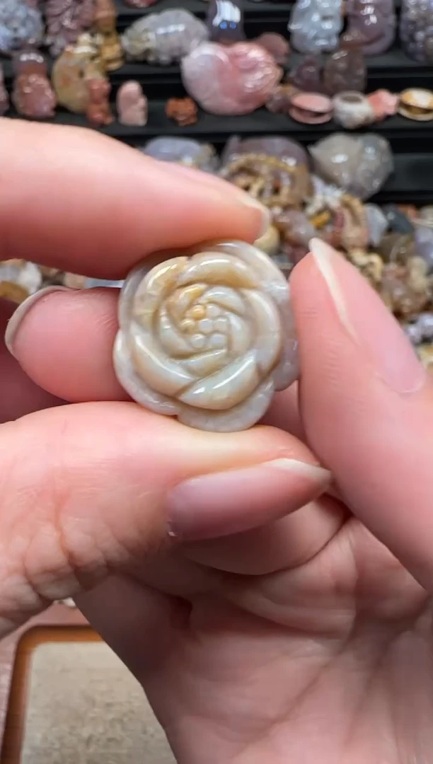 颈饰未镶嵌硅化珊瑚（珊瑚玉）790