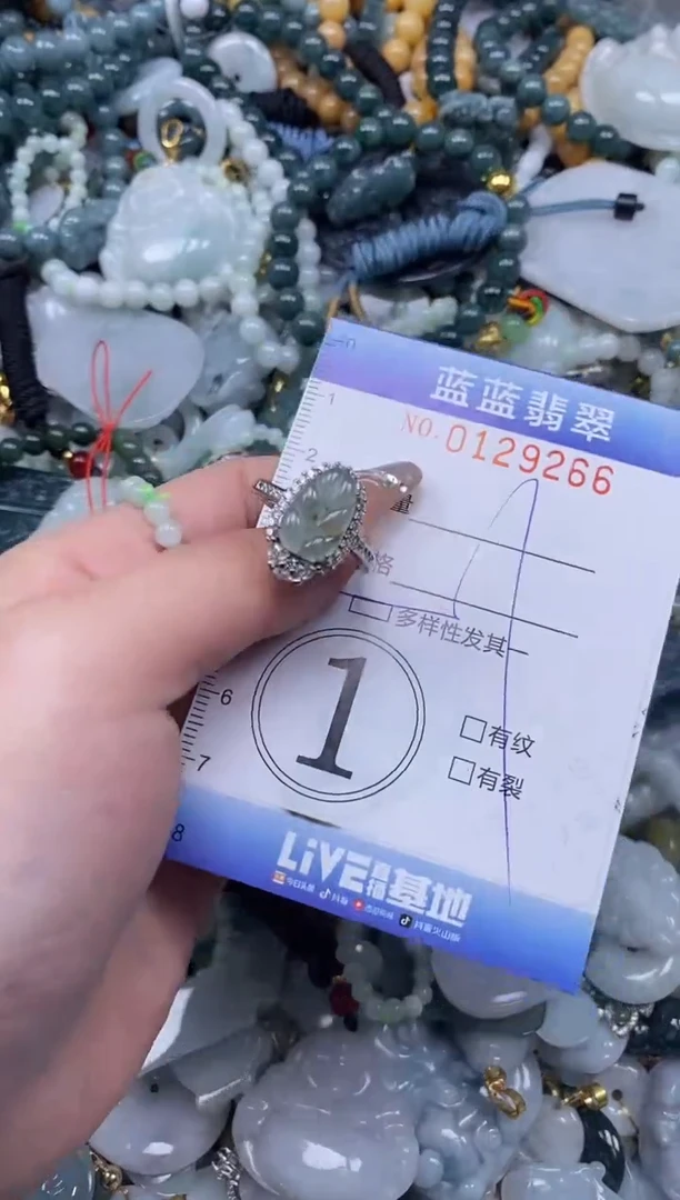 【闪购商品】翡翠颈饰未镶嵌闪购0129266