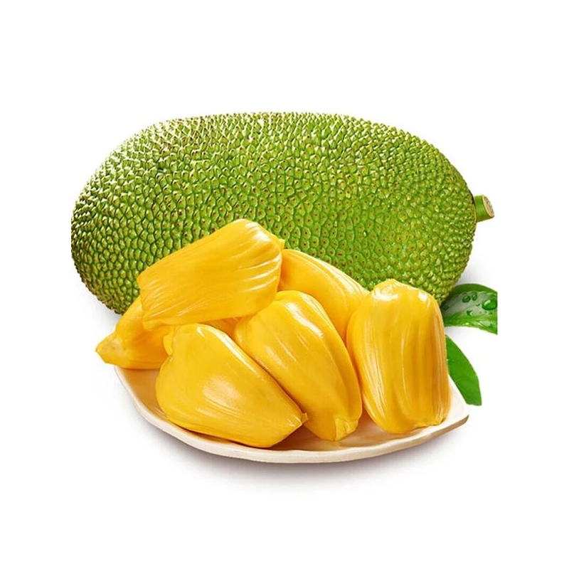 【菠萝蜜】越南红肉菠萝蜜1颗 树熟果 整果发货8-10斤