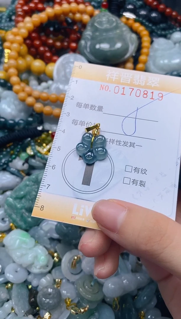 翡翠未镶嵌颈饰闪购0170819多样性发其一