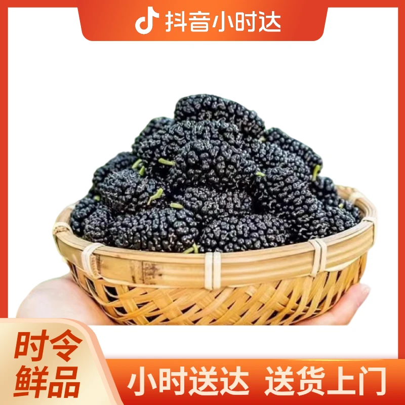 新鲜 桑葚 220克左右/盒