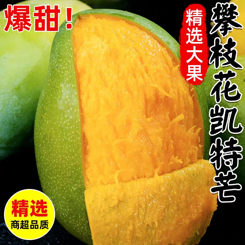 攀枝花凯特芒新鲜现摘酸甜多汁香味浓郁的大脸芒果
