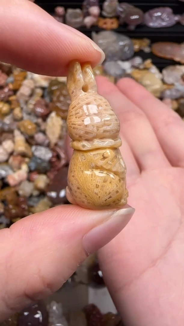 硅化珊瑚（珊瑚玉）未镶嵌颈饰562