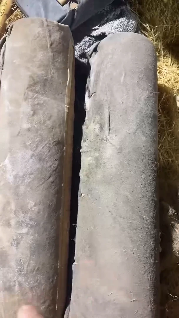 香榧木两个小牛皮桶子