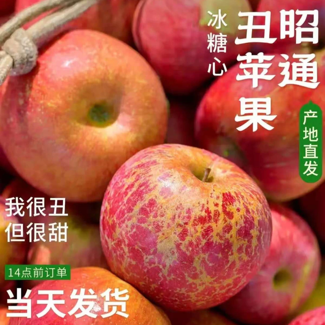 云南昭通丑苹果脆甜多汁现摘现发新鲜当季水果源头直发